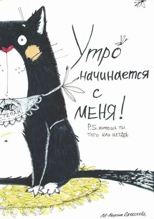 4ab6f174db27552d4e05b.webp
