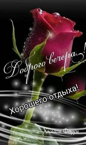 4aecf1d36a0e60826.webp