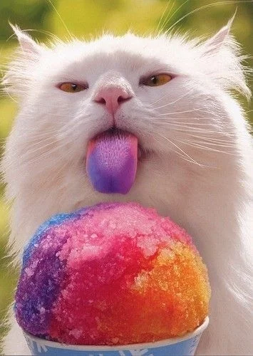 4af9cb7eb17235771235683fc19d1d0f.webp