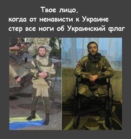 4affdg.webp