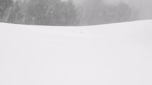4affdj.gif