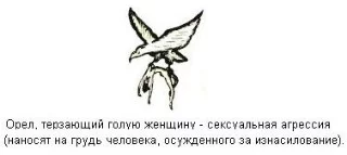 4ahafh.webp