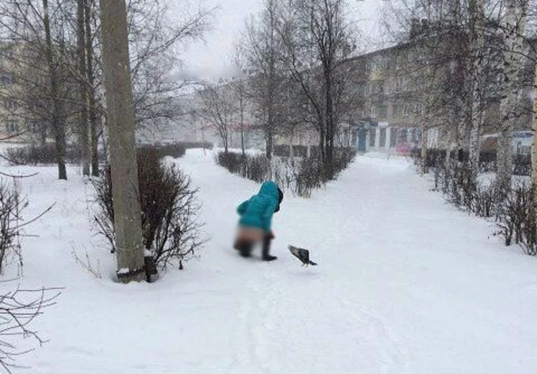 4ajbgj.webp