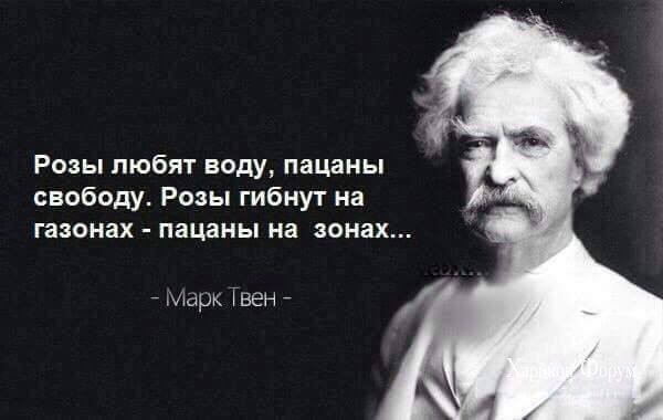 4b1e3d734b78efce9.jpg
