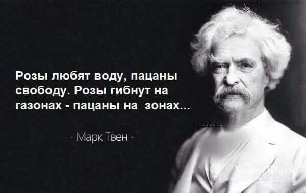 4b1e3d734b78efce9.webp