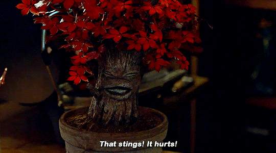 4b22602cdd2848545fd6f7c895a3f58f7418022d.gif