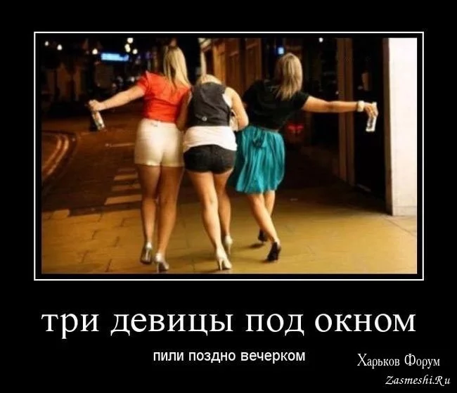 4b4a0d0049771ec945e.webp