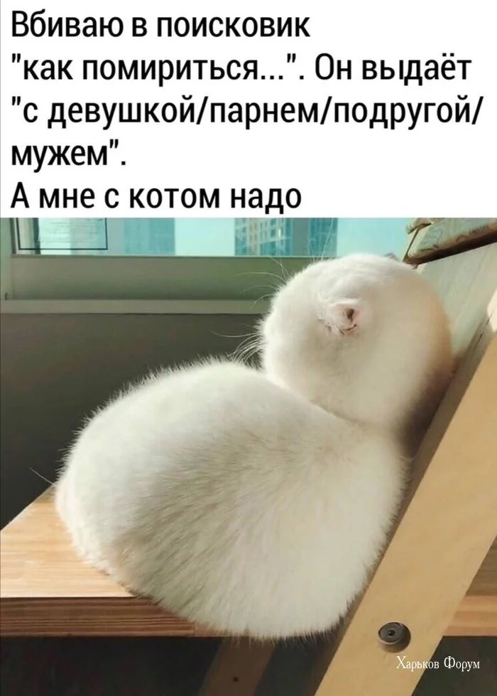 4b543b6863980988c4.webp