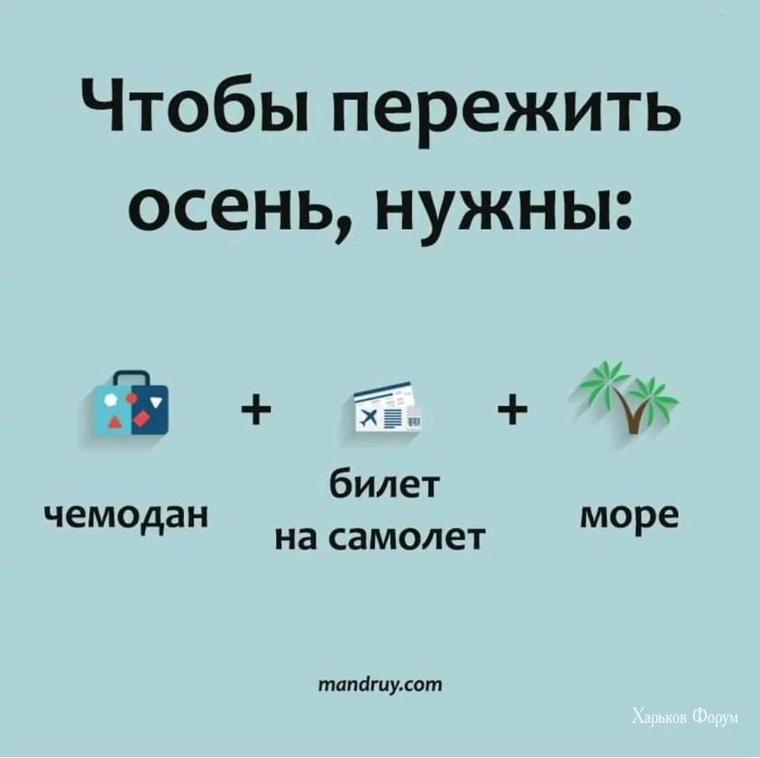 4b646c54722f6cecad.webp
