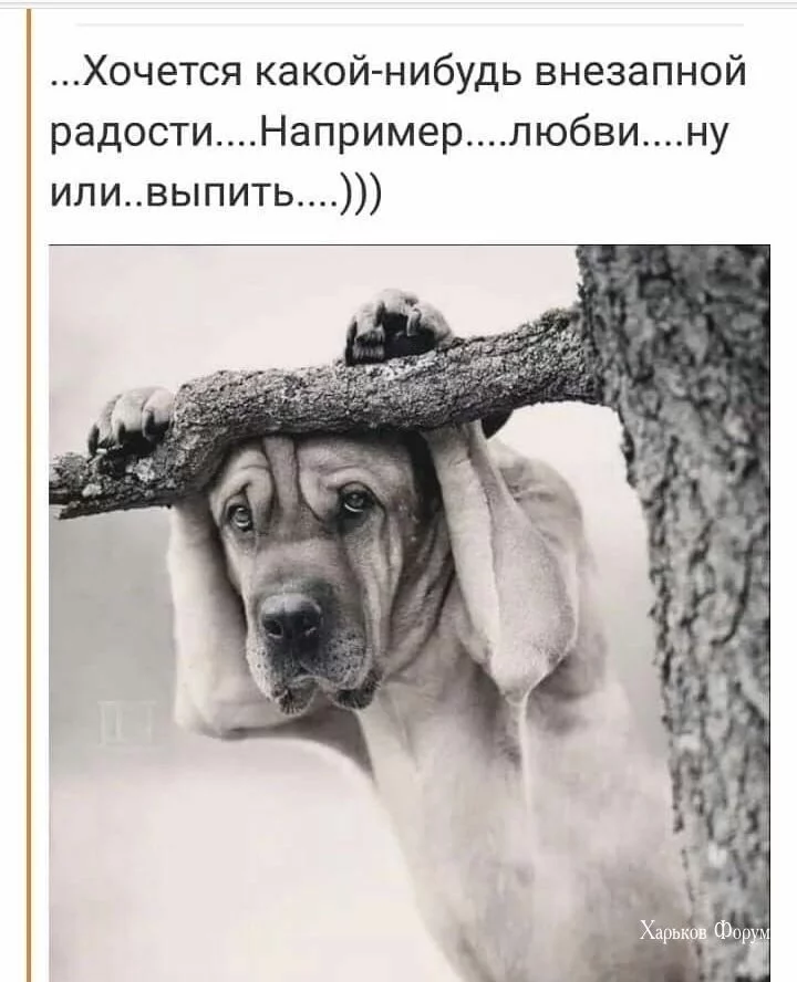 4b686528d3377c79f9.webp