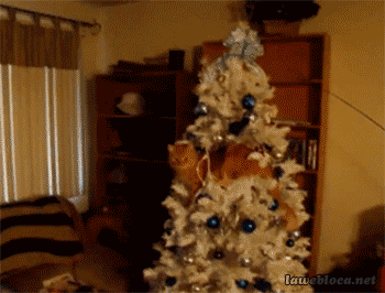 4b6bdcc996765abe1d9ab.gif