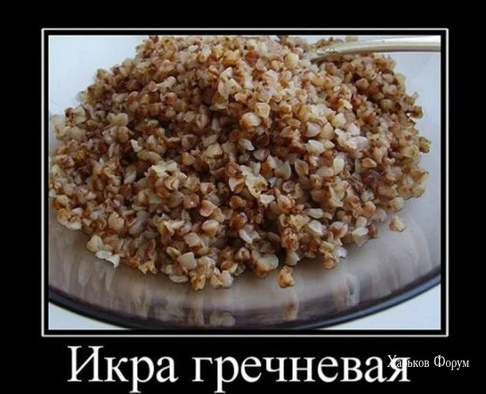 4b70172b380aa330d5123.webp
