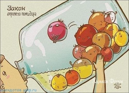 4b7e8663f78e6e060e445e.webp