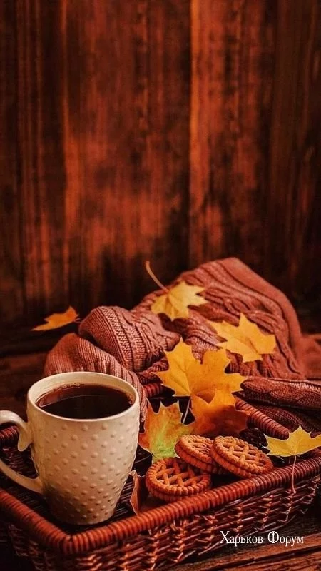 4b811e0afc48f2304.webp