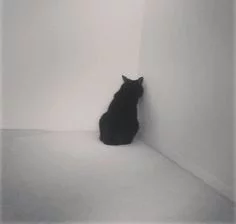4b82615e80653673007e65d0932e1be8.webp