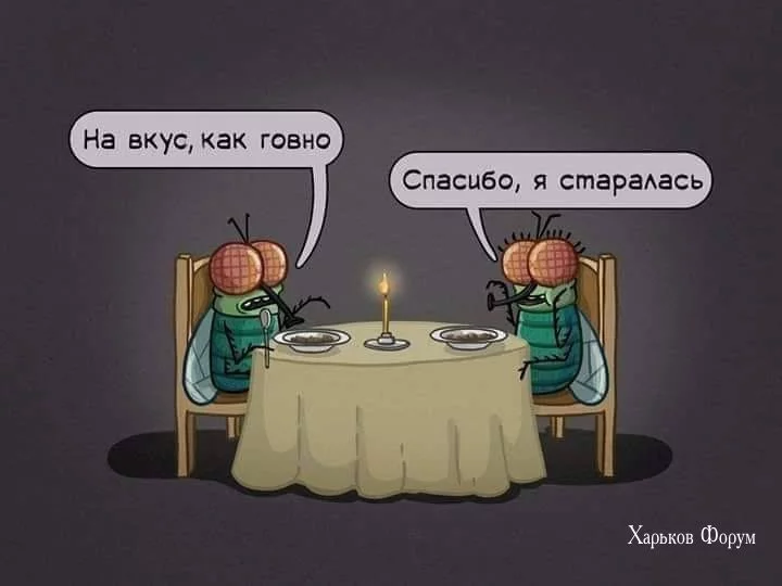 4bb66e90927b6da0764e.webp