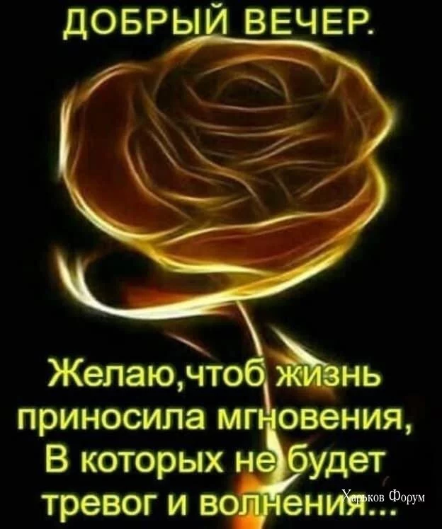 4bd648d9dd131718b.webp