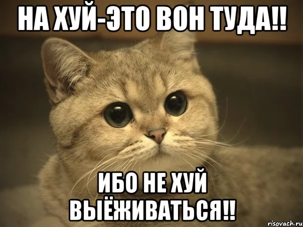 4beadc.webp