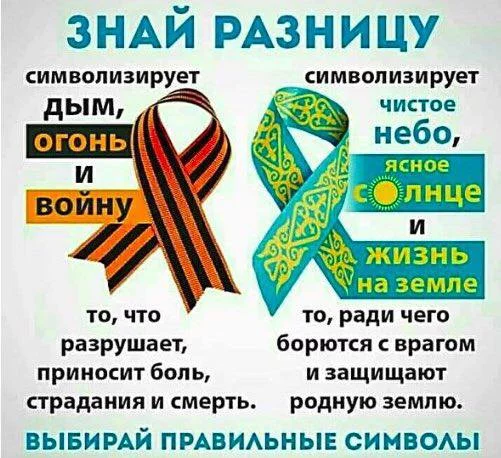 4bggcg.webp