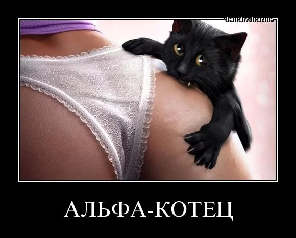 4bhbfh.webp