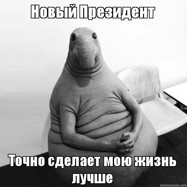 4bjaff.webp