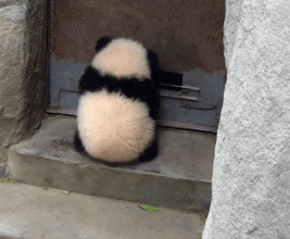 4c0b3bae437f539a33b084cb.gif