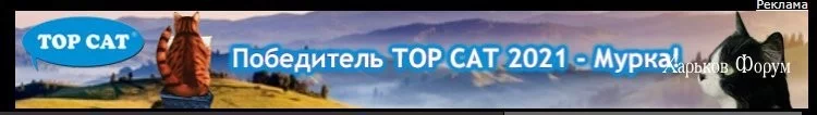 4c13c06009e58be52242.webp