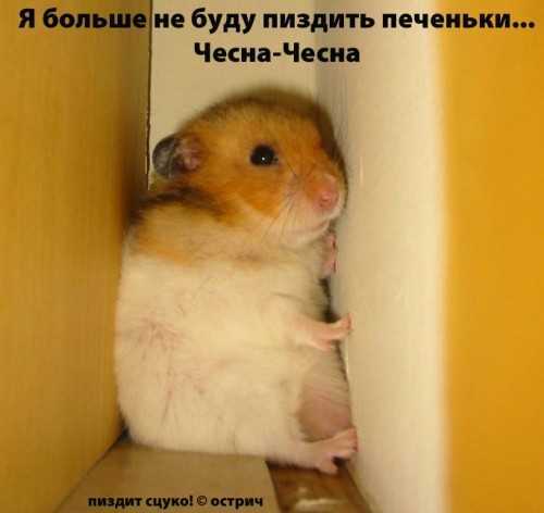4c38d6a1e2a1634354a3c69f40fc9a91.jpg