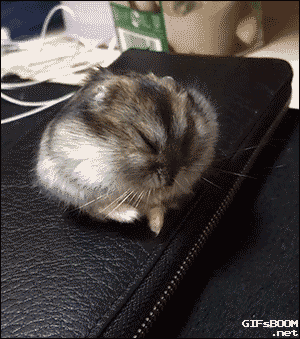 4c4034eaddb6c2e6b.gif