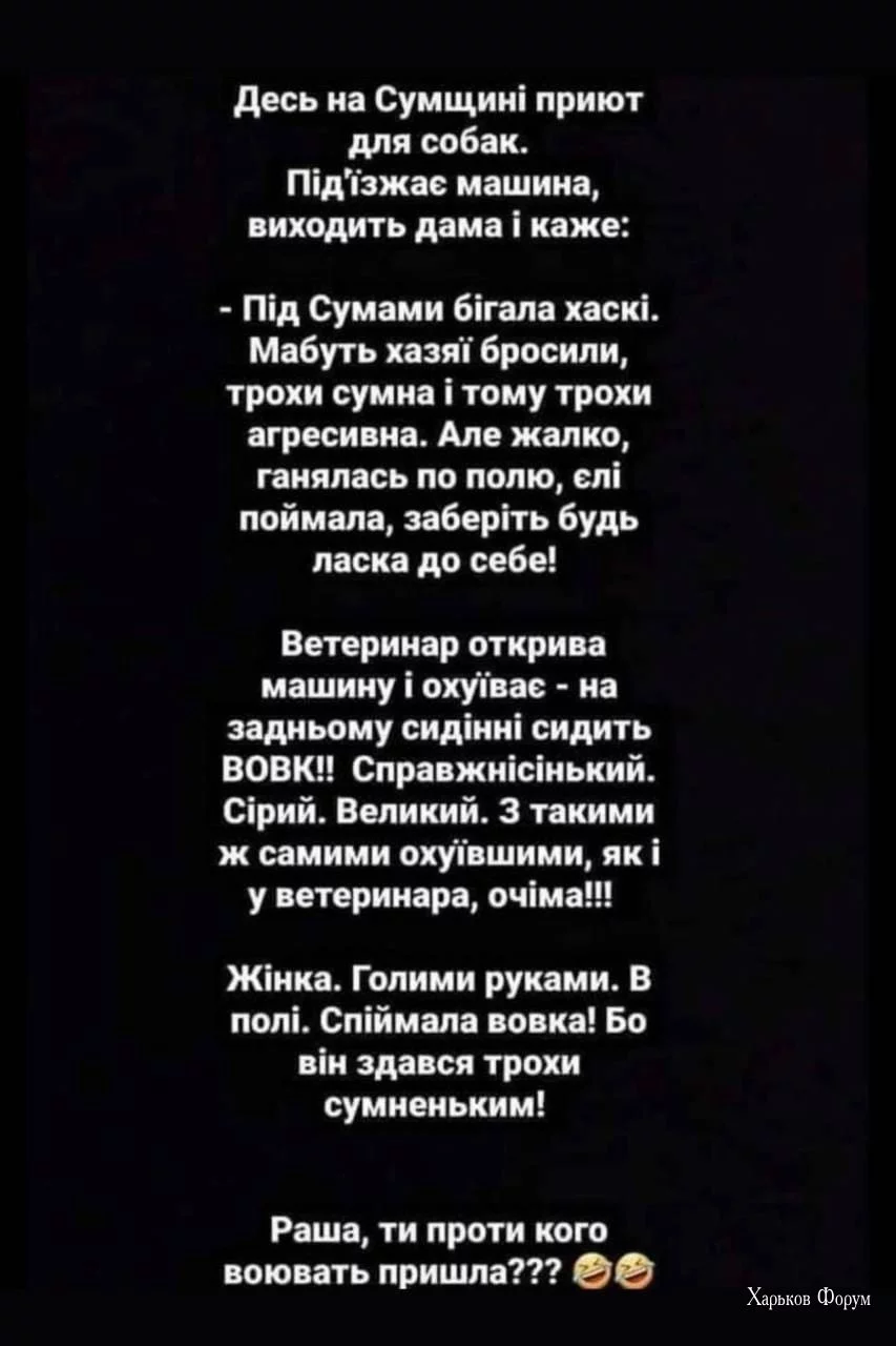 4c58d349b8f1a31703.webp