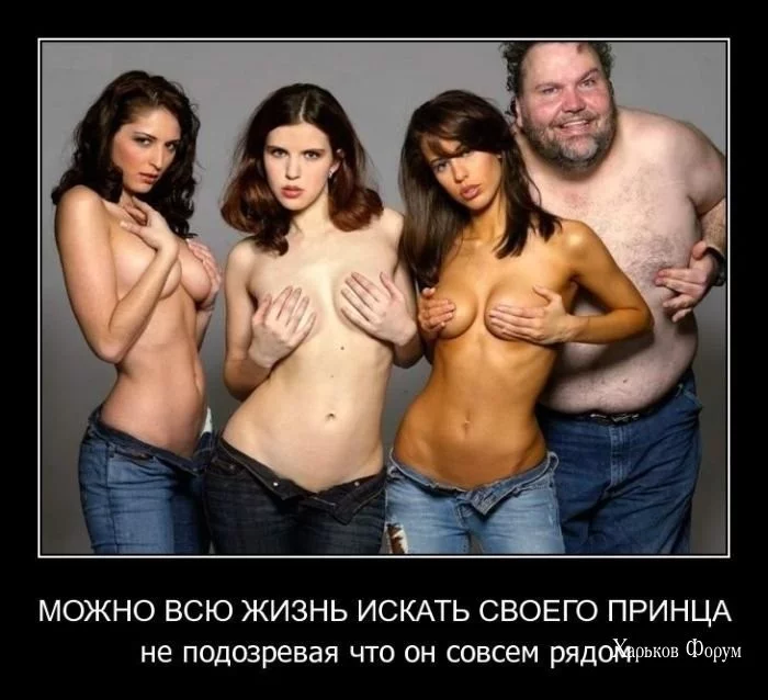 4c6de08a551b3f3690661.webp