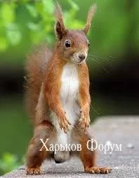 4c7e31e965f725987c1c7e.webp