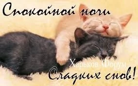 4c83dc93883d339aa0cc1853.webp