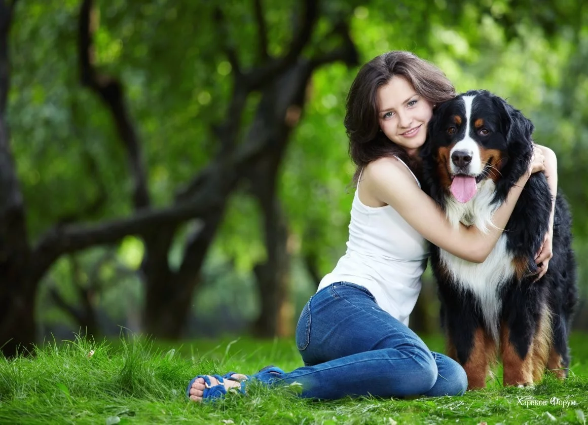 4c9b4e5a73f9540866d.webp