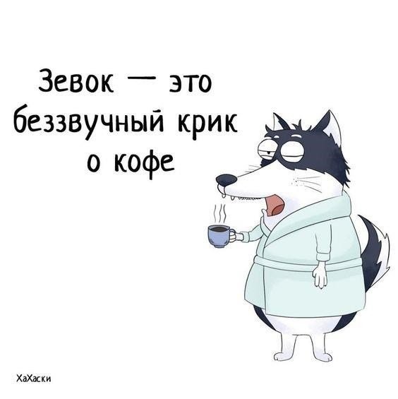 4ca71ded19070a3b6.jpg