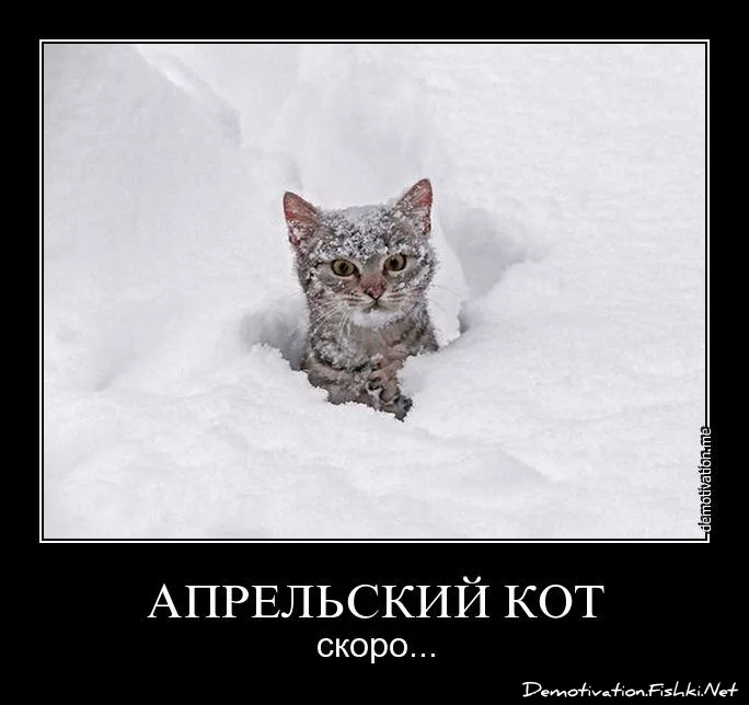4cacfa.webp