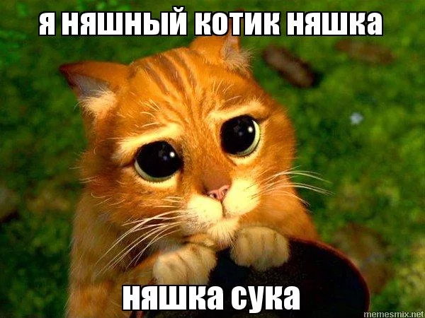 4cadaj.webp
