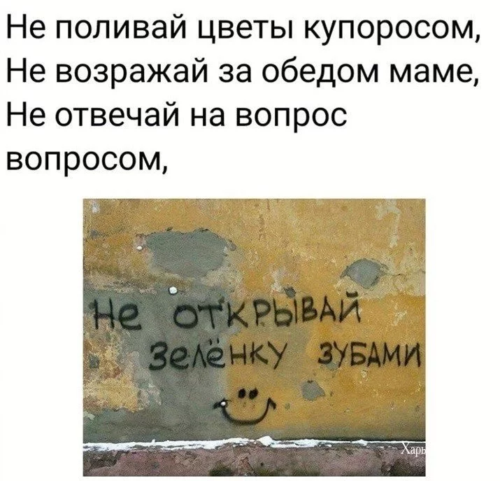 4cb282d9f7fc4a9446b.webp