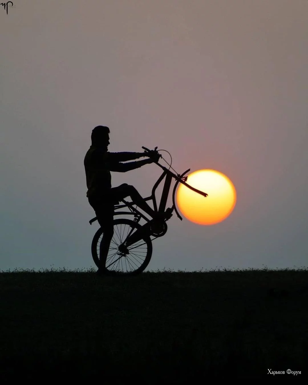 4cb75c67d9196f5d70.webp