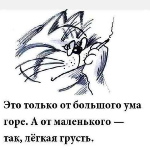4cba75868eb6f53c5.webp