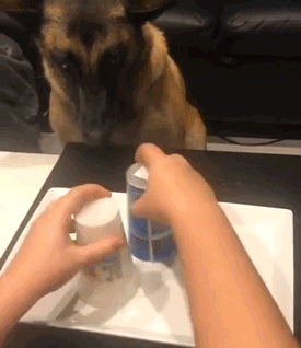 4cc311d73e111433235ccc.gif