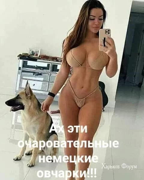 4cc938580ab2325a92f836.webp