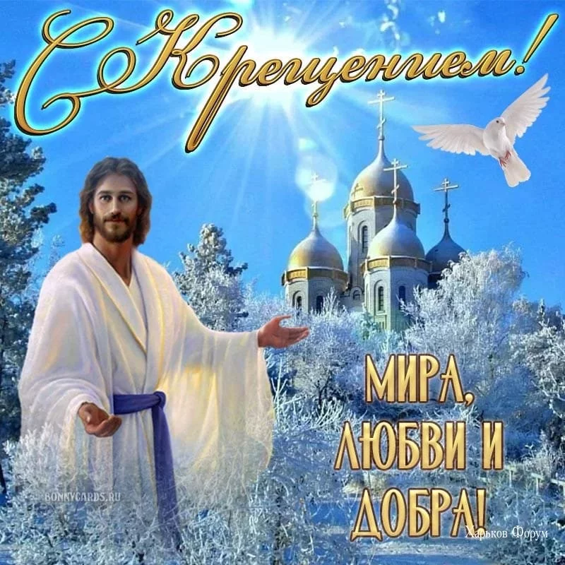 4ccc4d6f0b09d5978cba.webp