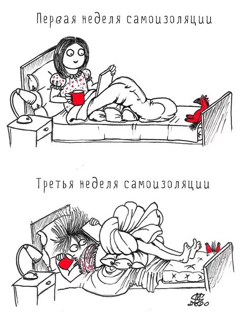 4ccd7297a16ce507735f9bde2b0fbbaa.webp