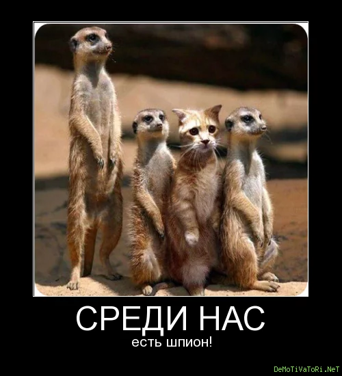 4ccf060757b7206a0afa3a3f9edace75.webp