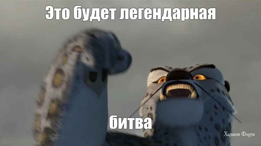 4ce2884ff49721d69a32.webp