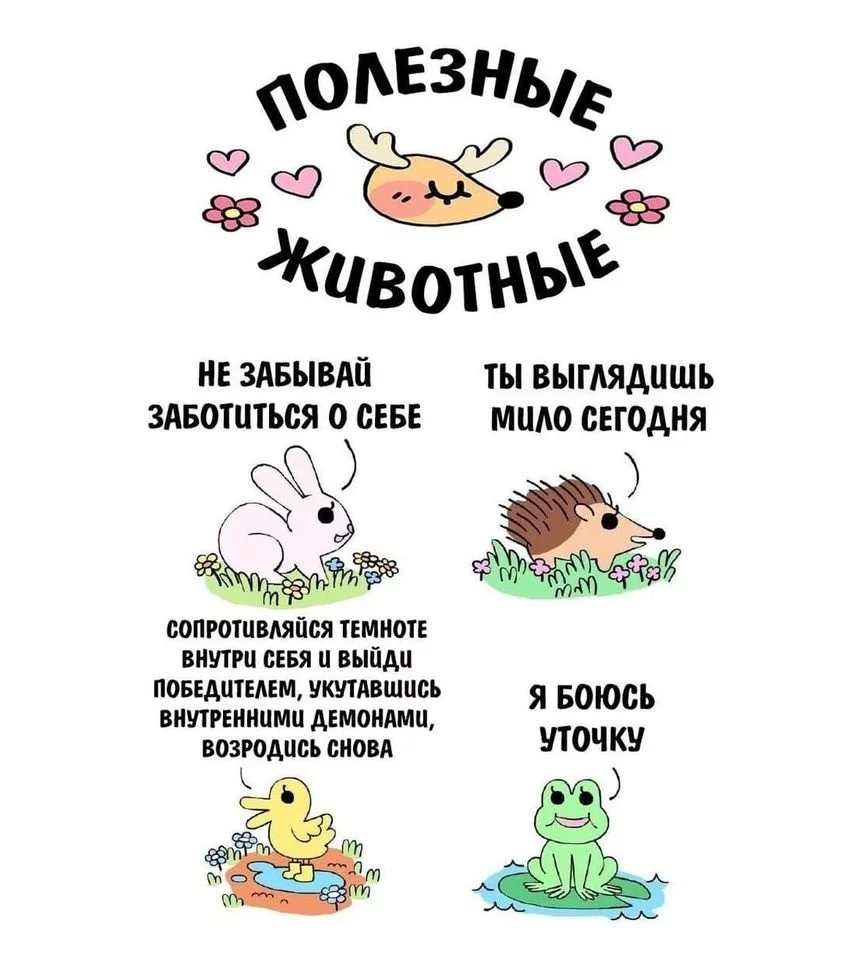 4cf2216230f510eadc63.webp