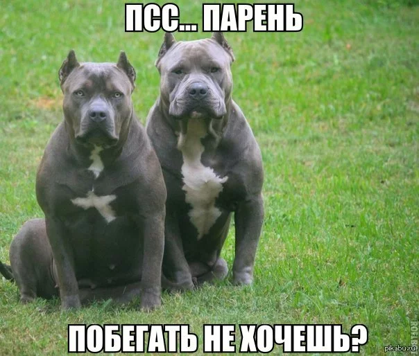4cgfee.webp