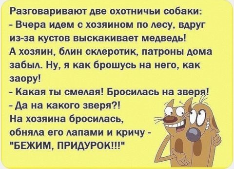 4cgjeg.jpg