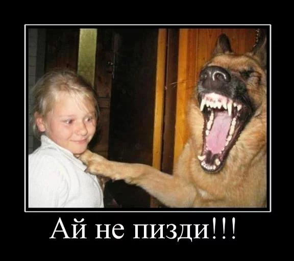 4cjajc.webp